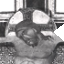 p61