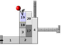 pianta-19