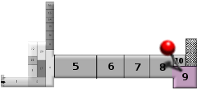 pianta-9